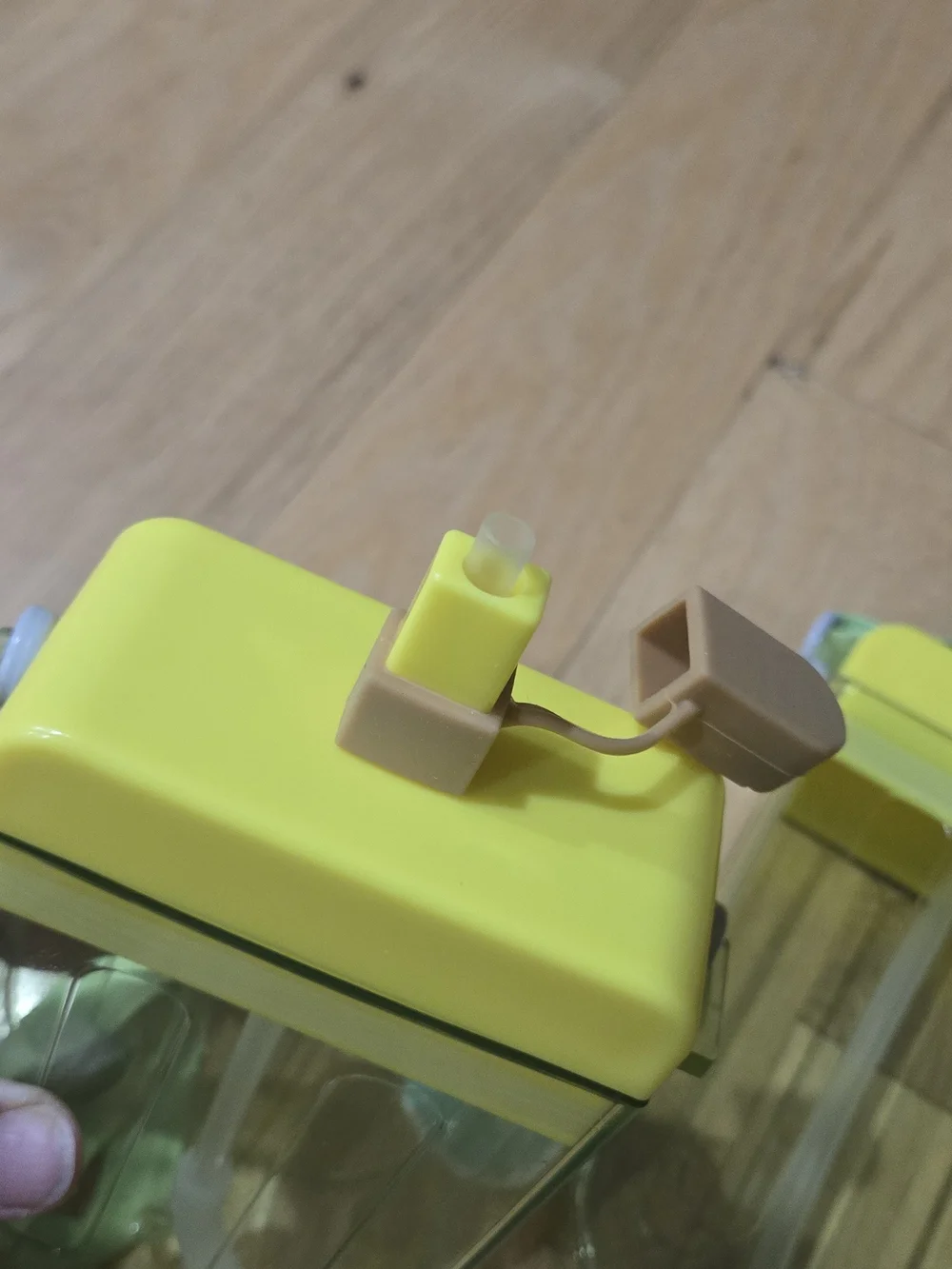 Dollar Tree Popsicle Water Cup Cantene With Strap